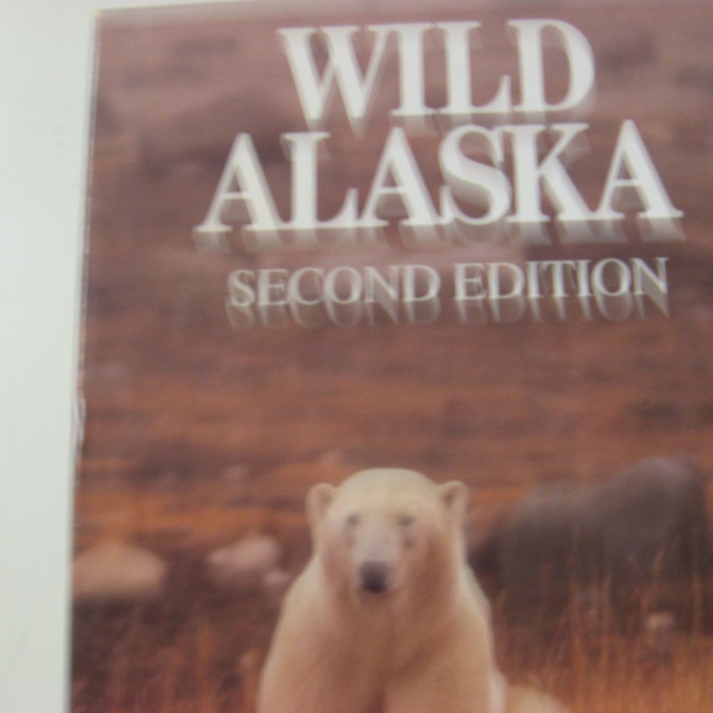 Video  Wild Alaska        A feast for the eye